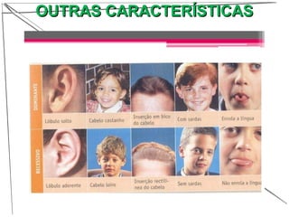 OUTRAS CARACTERÍSTICASOUTRAS CARACTERÍSTICAS
 