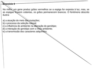 Exercício 4
No milho, um gene produz grãos vermelhos se a espiga for exposta à luz, mas, se
as espigas ficarem cobertas, os grãos permanecem brancos. O fenômeno descrito
ilustra:
a) a atuação do meio das mutações;
b) o processo da seleção natural;
c) a influência do ambiente na alteração do genótipo;
d) a interação do genótipo com o meio ambiente;
e) a transmissão dos caracteres adquiridos.
 