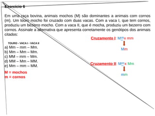 Exercício 6
Em uma raça bovina, animais mochos (M) são dominantes a animais com cornos
(m). Um touro mocho foi cruzado com duas vacas. Com a vaca I, que tem cornos,
produziu um bezerro mocho. Com a vaca II, que é mocha, produziu um bezerro com
cornos. Assinale a alternativa que apresenta corretamente os genótipos dos animais
citados:
TOURO - VACA I - VACA II
a) Mm – mm – Mm.
b) Mm – Mm – Mm.
c) MM – mm – Mm.
d) MM – Mm – MM.
e) Mm – mm – MM.
M = mochos
m = cornos
Cruzamento I: M_ x mm
Mm
Cruzamento II: M_ x Mm
mm
m
m
 