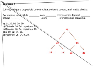 Exercício 7
(UFMG) Indique a proposição que completa, de forma correta, a afirmativa abaixo:
Por meiose, uma célula ________ com ________ cromossomos formará _______
células -----------_________________, com _________ cromossomos cada uma.
a) 2n, 20, 02, 2n, 20.
b) Diploide, 10, 04, haploides, 05.
c) Diploide, 46, 04, haploides, 23.
d) n, 10, 02, 2n, 05.
e) Haploide, 05, 04, n, 20.
46
23 23
23 23 23 23
 