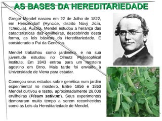 AS BASES DA HEREDITARIEDADEAS BASES DA HEREDITARIEDADE
Gregor Mendel nasceu em 22 de Julho de 1822,
em Heinzendorf (Hyncice, distrito Nový Jicín,
Tchequia), Áustria. Mendel estudou a herança das
características das ervilheiras, descobrindo desta
forma, as leis básicas da Hereditariedade. É
considerado o Pai da Genética.
Mendel trabalhou como jardineiro, e na sua
juventude estudou no Olmutz Philosophical
Institute. Em 1843 entrou para um mosteiro
agostino em Brno. Mais tarde foi enviado à
Universidade de Viena para estudar.
Começou seus estudos sobre genética num jardim
experimental no mosteiro. Entre 1856 e 1863
Mendel cultivou e testou aproximadamente 28.000
ervilheiras (Pisum sativum). Seus experimentos
demoraram muito tempo a serem reconhecidos
como as Leis da Hereditariedade de Mendel.
 