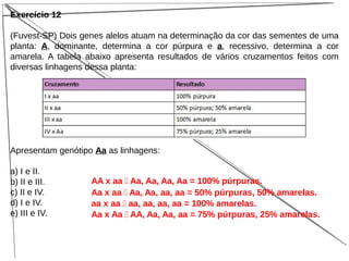 Exercício 12
(Fuvest-SP) Dois genes alelos atuam na determinação da cor das sementes de uma
planta: A, dominante, determina a cor púrpura e a, recessivo, determina a cor
amarela. A tabela abaixo apresenta resultados de vários cruzamentos feitos com
diversas linhagens dessa planta:
Apresentam genótipo Aa as linhagens:
a) I e II.
b) II e III.
c) II e IV.
d) I e IV.
e) III e IV.
AA x aa  Aa, Aa, Aa, Aa = 100% púrpuras.
Aa x aa  Aa, Aa, aa, aa = 50% púrpuras, 50% amarelas.
aa x aa  aa, aa, aa, aa = 100% amarelas.
Aa x Aa  AA, Aa, Aa, aa = 75% púrpuras, 25% amarelas.
 