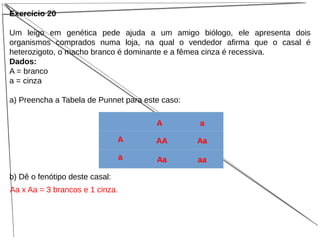 Exercício 20
Um leigo em genética pede ajuda a um amigo biólogo, ele apresenta dois
organismos comprados numa loja, na qual o vendedor afirma que o casal é
heterozigoto, o macho branco é dominante e a fêmea cinza é recessiva.
Dados:
A = branco
a = cinza
a) Preencha a Tabela de Punnet para este caso:
b) Dê o fenótipo deste casal:
A a
A
a
AA Aa
Aa aa
Aa x Aa = 3 brancos e 1 cinza.
 