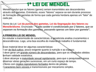 1ª LEI DE MENDEL1ª LEI DE MENDEL
Mendel conclui que os fatores (genes) seriam transmitidos aos descendentes
através dos gametas. Entretanto, esses “fatores” separar-se-iam durante processo
de formação dos gametas de forma que cada gameta herdaria apenas um “fator” de
cada par.
Nome da Lei: Lei da pureza dos gametas, Lei da Segregação dos fatores ou
Monoibridismo. Enunciado - “Cada caráter é condicionado por 2 fatores, que se
separam na formação dos gametas, passando apenas um fator por gameta”.
A PRIMEIRA LEI DE MENDEL
Ao estudar a transmissão de características, o geneticista analisa cruzamentos e
descendências. Logo, uma boa escolha do material de trabalho é fundamental.
Esse material deve ter algumas características:
• ser de fácil cultivo, pouco exigente quanto à nutrição e ao espaço;
• deve gerar um grande número de descendentes, para que os resultados obtidos
tenham validade estatística;
• deve alcançar a maturidade sexual rapidamente, para que o pesquisador possa
observar várias gerações sucessivas, em um curto espaço de tempo.
• flores com órgãos reprodutores fechados dentro de pétalas.
• caracteres bem visíveis e transmissíveis por mecanismo simples.
 