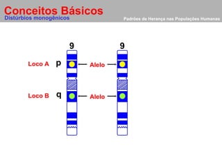 Padrões de Herança nas Populações Humanas Conceitos Básicos Alelo 9 p q Alelo 9 Distúrbios monogênicos Loco A Loco B 