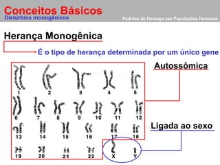 Padrões de Herança nas Populações Humanas Conceitos Básicos Distúrbios monogênicos Herança Monogênica 21 É o tipo de herança determinada por um único gene Autossômica Ligada ao sexo 