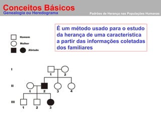 Padrões de Herança nas Populações Humanas Conceitos Básicos Genealogia ou Heredograma É um método usado para o estudo da herança de uma característica a partir das informações coletadas dos familiares  