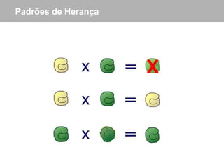 Padrões de Herança X 