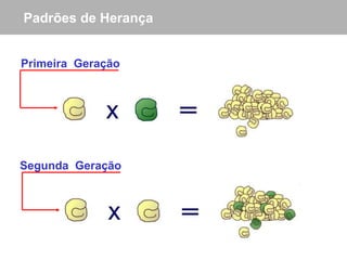 Padrões de Herança Primeira  Geração Segunda  Geração 