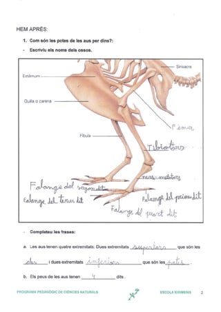 Grup 1: Les potes de les aus 