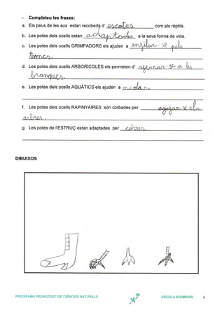 Grup 1: Les potes de les aus 