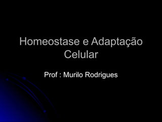 Homeostase e AdaptaçãoHomeostase e Adaptação
CelularCelular
Prof : Murilo RodriguesProf : Murilo Rodrigues
 