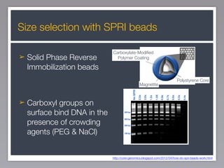 1sequancing libraLib_preperation of .pdf