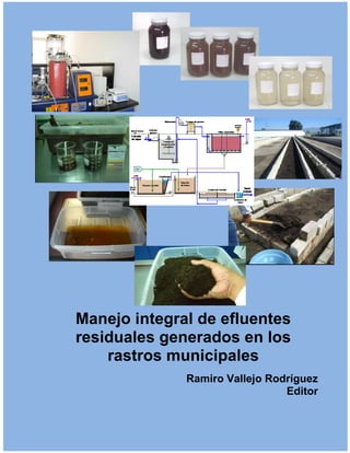 I
Manejo integral de efluentes
residuales generados en los
rastros municipales
Ramiro Vallejo Rodríguez
Editor
 