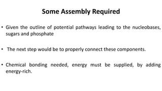 Some Assembly Required
• Given the outline of potential pathways leading to the nucleobases,
sugars and phosphate
• The next step would be to properly connect these components.
• Chemical bonding needed, energy must be supplied, by adding
energy-rich.
 