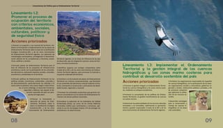 Lineamiento 1.2:
Promover el proceso de
ocupación del territorio
con criterios económicos,
ambientales, sociales,
culturales, políticos4 y
de seguridad física
1.Orientar la ocupación y uso racional del territorio, me-
diante la formulación e implementación de los planes de
Ordenamiento Territorial sobre la base de la Zonificación
Ecológica Económica-ZEE, y de los otros instrumentos
de Ordenamiento Territorial vigentes, con aplicación de
metodologías participativas, privilegiando la descentrali-
zación efectiva de las competencias y funciones, econó-
micas, políticas y sociales.
2.Formular planes de Ordenamiento Territorial para el
área de influencia de los proyectos de infraestructura
económica y social, con la participación de las comunida-
des del entorno, evaluando impactos sociales, culturales,
económicos y ambientales en el territorio.
3.Articular políticas de Ordenamiento Territorial con las
políticas sociales, económicas, ambientales, culturales y
de descentralización; particularmente las referidas a la
lucha contra la pobreza, tala y pesca ilegal e indiscrimina-
da, la lucha antidroga, el desarrollo fronterizo,
seguridad y defensa; que apoyen al de-
sarrollo sostenible del país con pers-
pectiva de largo plazo.
4.Priorizar la formulación y
ejecución de planes de Orde-
namiento Territorial, sobre la
base a la Zonificación Ecológica
Económica-ZEE, y de los otros
instrumentos de Ordenamiento
Territorial vigentes, en las áreas de influencia de los ejes
de desarrollo, ejes de integración nacional, zonas de fron-
tera y circuitos económicos.
5.Identificar espacios con ventajas comparativas sobre
la base de la ZEE y de los otros instrumentos de Ordena-
miento Territorial vigentes, para promover la inversión y
ocupación ordenada del territorio.
6.Contribuir a la formulación de planes de Ordenamiento
Territorial con criterios conservacionistas que fomenten
el uso sostenible del patrimonio cultural material e inma-
terial, orientando la construcción y articulación de identi-
dades locales, regionales y nacional.
7.Promover las actividades productivas que generen em-
pleo en concordancia con los planes de Ordenamiento Te-
rritorial y las demás políticas nacionales.
8.Considerar la aplicación de los Estándares de Calidad
Ambientales (ECAs), así como, de los Límites Máximos
Permisibles (LMPs) para vertimientos y emisiones, apli-
cando el uso de tecnologías limpias a fin de proteger los
ecosistemas y la salud humana.
Acciones priorizadas
08
Lineamiento 1.3: Implementar el Ordenamiento
Territorial y la gestión integral de las cuencas
hidrográficas y las zonas marino costeras para
contribuir al desarrollo sostenible del país
1.Promover la gestión integral y el Ordenamiento Territo-
rial de las cuencas hidrográficas y las zonas marino coste-
ras, mediante un enfoque ecosistémico.
2.Promover la concertación de las políticas de Ordena-
miento Territorial y la gestión transfronteriza de cuencas
con países vecinos.
3.Determinar las potencialidades de los recursos naturales
renovables y no renovables, optimizando su aprovecha-
miento y gestión responsable a través de la ZEE y de los
otros instrumentos de Ordenamiento Territorial vigentes.
4.Fortalecer las organizaciones responsables de la gestión
de cuencas hidrográficas, con la participación de las diver-
sas organizaciones sociales y comunitarias, gobiernos re-
gionales y locales, instituciones públicas y privadas, a fin
de promover proyectos
que optimicen la utiliza-
ción de los recursos na-
turales.
5.Desarrollar estrategias
para la conservación y
manejo de cuencas hi-
drográficas en las áreas
más vulnerables.
Acciones priorizadas
09
Lineamientos de Política para el Ordenamiento Territorial
 