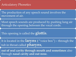 Articulatory Phonetics
The production of any speech sound involves the
movement of air.
Most speech sounds are produced by pushing lung air
through the opening between the vocal cords.
This opening is called the glottis.
It is located in the larynx ( ―voice box‖) – through the
tub in throat called pharynx,
out of oral cavity through mouth and sometimes also
through nasal cavity and out nose.

 