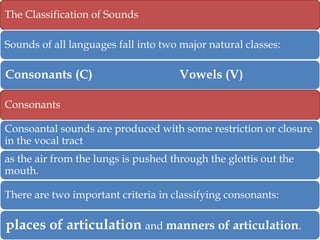 The Classification of Sounds

Sounds of all languages fall into two major natural classes:

Consonants (C)

Vowels (V)

Consonants
Consoantal sounds are produced with some restriction or closure
in the vocal tract
as the air from the lungs is pushed through the glottis out the
mouth.

There are two important criteria in classifying consonants:

places of articulation and manners of articulation.

 
