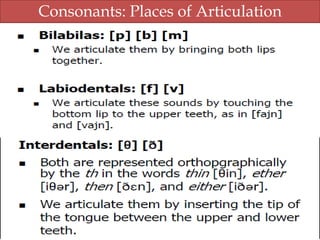 Consonants: Places of Articulation

 