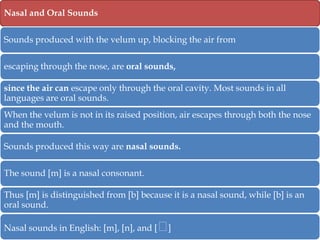Nasal and Oral Sounds
Sounds produced with the velum up, blocking the air from
escaping through the nose, are oral sounds,
since the air can escape only through the oral cavity. Most sounds in all
languages are oral sounds.
When the velum is not in its raised position, air escapes through both the nose
and the mouth.
Sounds produced this way are nasal sounds.
The sound [m] is a nasal consonant.
Thus [m] is distinguished from [b] because it is a nasal sound, while [b] is an
oral sound.

Nasal sounds in English: [m], [n], and [ᵸ
]

 