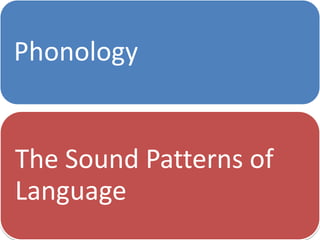 Phonology

The Sound Patterns of
Language

 