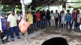 Fotografía: Leovigildo Vivanco
 