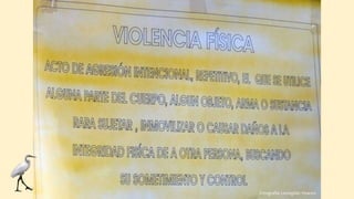 Fotografía: Leovigildo Vivanco
 