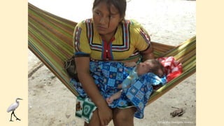 Fotografía: Leovigildo Vivanco
 