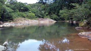 Fotografía: Leovigildo Vivanco
 