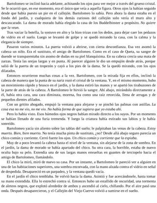 Bartolomeo se inclinó hacia adelante, achinando los ojos para ver mejor a través del grueso cristal.
Se le ocurrió que, en ese momento, era el único que veía a aquella figura. Otros ojos la habían seguido
desde que había puesto un pie en el callejón. Bartolomeo lo sabía. Pero ahora la dama estaba en el
fondo del jardín, y cualquiera de los demás curiosos del callejón solo vería el muro alto y
descascarado. La dama de morado había elegido la casa de los Buddelbinster a propósito. No quiere
que la vean.
Tras vaciar la botella, la sostuvo en alto y la hizo trizas con los dedos, para dejar caer los pedazos
de vidrio en el suelo. Luego se levantó de golpe y se quedó mirando la casa, con la calma y la
elegancia de siempre.
Pasaron varios minutos. La puerta volvió a abrirse, con cierta desconfianza. Esa vez asomó la
cabeza un niño. Era el sustituto, el amigo de Bartolomeo. Como en el caso de Queta, su sangre de
duende se transparentaba sin asomo de dudas en su piel blanquísima. En su cabeza crecía una mata de
zarzas. Tenía las orejas largas y en punta. Al parecer alguien le dio un empujón desde atrás, porque
salió de la puerta de un tropezón y cayó a los pies de la dama. Se la quedó mirando, con los ojos
dilatados.
Entonces ocurrieron muchas cosas a la vez. Bartolomeo, con la mirada fija en ellos, inclinó la
cabeza de manera que la punta de su nariz rozó el cristal de la ventana. Y, en el mismo momento, hubo
un movimiento rápido y brusco en el jardín, y la dama estiró las manos y se apartó los tirabuzones de
la parte de atrás de la cabeza. A Bartolomeo le hirvió la sangre. Ahí abajo, mirándolo directamente a
él, había otra cara, una cara diminuta, morena, fea como una raíz retorcida, llena de arrugas y de
pequeños dientes afilados.
Con un gritito ahogado, empujó la ventana para alejarse y se pinchó las palmas con astillas. La
cosa esa no me vio, no me vio. No había forma de que supiera que yo estaba ahí.
Pero lo había visto. Esos húmedos ojos negros habían mirado directo a los suyos. Por un momento
se habían llenado de una furia tremenda. Y luego la criatura había estirado sus labios y le había
sonreído.
Bartolomeo yacía sin aliento sobre las tablas del suelo; le palpitaban las venas de la cabeza. Estoy
muerto. Bien, bien muerto. No tenía mucha pinta de sustituto, ¿no? Desde allá abajo seguro parecía un
chico común y corriente. Cerró fuerte los ojos. Un chico común y corriente que la espiaba.
Muy de a poco levantó la cabeza hasta el nivel de la ventana, sin alejarse de la zona de sombra. En
el jardín, la dama de morado se había apartado del chico. Su otra cara, la horrible, estaba de nuevo
oculta bajo su pelo. Extendía una de sus largas manos envueltas en guantes de terciopelo hacia el
amigo de Bartolomeo, llamándolo.
El chico la miró, miró de nuevo su casa. Por un instante, a Bartolomeo le pareció ver a alguien en
una de las habitaciones superiores, una sombra encorvada, con la mano alzada contra el vidrio en señal
de despedida. Desapareció en un parpadeo, y la ventana quedó vacía.
En el jardín el chico temblaba. Se volvió hacia la dama. Asintió y fue acercándosele, hasta tomar
su mano extendida. Ella lo estrechó contra sí. Entonces hubo un estallido de oscuridad, una tormenta
de aleteos negros, que explotó alrededor de ambos y ascendió al cielo, chillando. Por el aire pasó una
onda. Después desaparecieron, y el Callejón del Viejo Cuervo volvió a sumirse en el sueño.
 