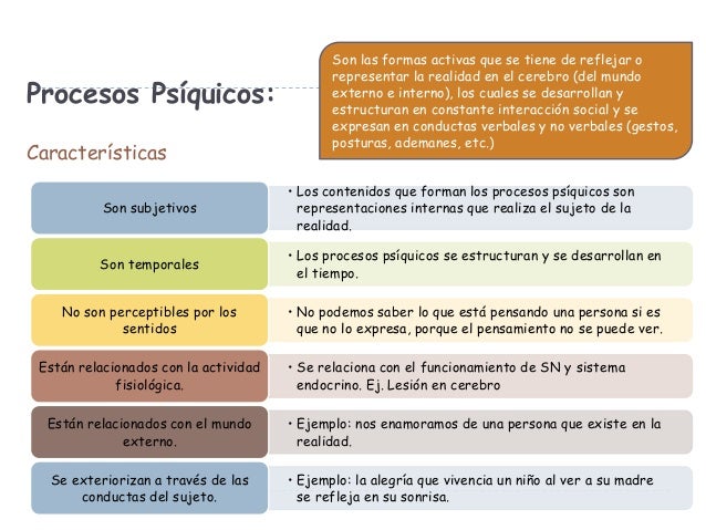 1 los procesos psicológicos 2