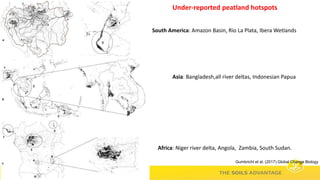 Soils Advantage: Soil Carbon Benefits - Louis Verchot, CIAT/WLE