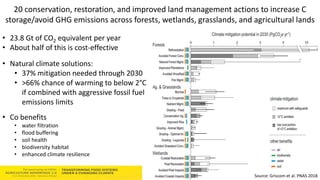 Soils Advantage: Soil Carbon Benefits - Louis Verchot, CIAT/WLE