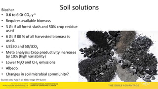 Soils Advantage: Soil Carbon Benefits - Louis Verchot, CIAT/WLE
