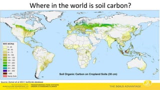 Soils Advantage: Soil Carbon Benefits - Louis Verchot, CIAT/WLE