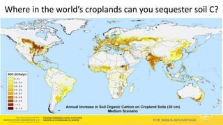 Soils Advantage: Soil Carbon Benefits - Louis Verchot, CIAT/WLE