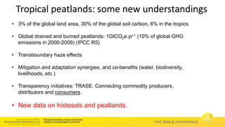 Soils Advantage: Soil Carbon Benefits - Louis Verchot, CIAT/WLE