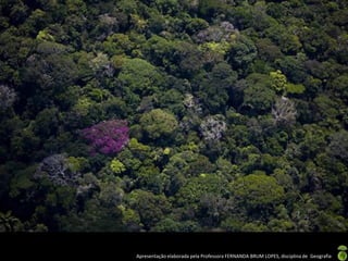 Apresentação elaborada pela Professora FERNANDA BRUM LOPES, disciplina de Geografia
 