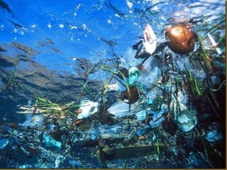 Apresentação elaborada pela Professora FERNANDA BRUM LOPES, disciplina de Geografia
 