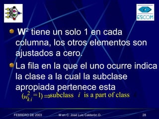 W 2  tiene un solo 1 en cada columna, los otros elementos son ajustados a cero.  La fila en la que el uno ocurre indica la clase a la cual la subclase apropiada pertenece esta w k i  2 1 =   subclass   i is a part of class    k 