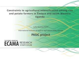 Constraints to agricultural intensification among rice
and potato farmers in Eastern and South Western
Uganda
Lydia Nazziwa Nviiri
International Institute of Tropical Agriculture (IITA), Uganda
PASIC project
 