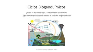 Ciclos Biogeoquímicos
¿Cómo se moviliza el agua y carbono en los ecosistemas?
¿Qué impacto produce en ser humano en los ciclos biogeoquímicos?
D. Espinoza - Pedagogía en Biología - UMCE
 