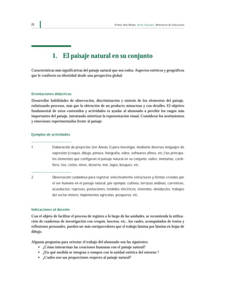 Primer Año Medio Artes Visuales Ministerio de Educación20
1. El paisaje natural en su conjunto
Características más significativas del paisaje natural que nos rodea. Aspectos estéticos y geográficos
que le confieren su identidad desde una perspectiva global.
Orientaciones didácticas
Desarrollar habilidades de observación, discriminación y síntesis de los elementos del paisaje,
enfatizando procesos, más que la obtención de un producto minucioso y con detalles. El objetivo
fundamental de estos contenidos y actividades es ayudar al alumnado a percibir los rasgos más
importantes del paisaje, intentando sintetizar la representación visual. Considerar los sentimientos
y emociones experimentados frente al paisaje.
Ejemplos de actividades
1. Elaboración de proyectos (ver Anexo 1) para investigar, mediante diversos lenguajes de
expresión (croquis, dibujo, pintura, fotografía, video, softwares afines, etc.) los principa-
les elementos que configuran el paisaje natural en su conjunto: valles, montañas, cordi-
llera, ríos, cielos, nieve, desierto, mar, lagos, bosques, etc.
2. Observación cuidadosa para registrar selectivamente estructuras y formas creadas por
el ser humano en el paisaje natural, por ejemplo: cultivos, terrazas andinas, carreteras,
acueductos, represas, postaciones, tendidos eléctricos, viviendas, oleoductos, trabajos
del sector minero, implementos agrícolas, pesqueros, etc.
Indicaciones al docente
Con el objeto de facilitar el proceso de registro a lo largo de las unidades, se recomienda la utiliza-
ción de cuadernos de investigación con croquis, bocetos, etc., los cuales, acompañados de textos y
reflexiones personales, pueden ser más enriquecedores que el trabajo lámina por lámina en hojas de
dibujo.
Algunas preguntas para orientar el trabajo del alumnado son las siguientes:
• ¿Cómo interactúan las creaciones humanas con el paisaje natural?
• ¿En qué medida se integran o rompen con la unidad estética del entorno ?
• ¿Cuáles son sus proporciones respecto al paisaje natural?
 