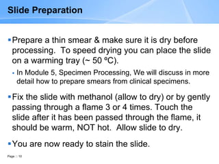 Page 10
Slide Preparation
Prepare a thin smear & make sure it is dry before
processing. To speed drying you can place the slide
on a warming tray (~ 50 ºC).
 In Module 5, Specimen Processing, We will discuss in more
detail how to prepare smears from clinical specimens.
Fix the slide with methanol (allow to dry) or by gently
passing through a flame 3 or 4 times. Touch the
slide after it has been passed through the flame, it
should be warm, NOT hot. Allow slide to dry.
You are now ready to stain the slide.
 