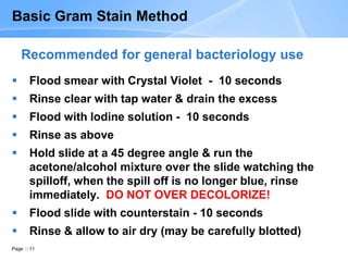 Page 11
Basic Gram Stain Method
 Flood smear with Crystal Violet - 10 seconds
 Rinse clear with tap water & drain the excess
 Flood with Iodine solution - 10 seconds
 Rinse as above
 Hold slide at a 45 degree angle & run the
acetone/alcohol mixture over the slide watching the
spilloff, when the spill off is no longer blue, rinse
immediately. DO NOT OVER DECOLORIZE!
 Flood slide with counterstain - 10 seconds
 Rinse & allow to air dry (may be carefully blotted)
Recommended for general bacteriology use
 