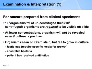 Page 17
Examination & Interpretation (1)
For smears prepared from clinical specimens
 105 organisms/ml of un-centrifuged fluid (104
centrifuged) organisms are required to be visible on slide
 At lower concentrations, organism will not be revealed
even if culture is positive
 Organisms seen on Gram stain, but fail to grow in culture
 fastidious (require specific media for growth)
 anaerobic bacteria
 patient has received antibiotics
 