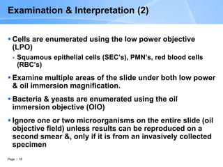 Page 18
Examination & Interpretation (2)
 Cells are enumerated using the low power objective
(LPO)
 Squamous epithelial cells (SEC’s), PMN’s, red blood cells
(RBC’s)
 Examine multiple areas of the slide under both low power
& oil immersion magnification.
 Bacteria & yeasts are enumerated using the oil
immersion objective (OIO)
 Ignore one or two microorganisms on the entire slide (oil
objective field) unless results can be reproduced on a
second smear &, only if it is from an invasively collected
specimen
 