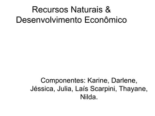 Recursos Naturais & Desenvolvimento Econômico Componentes: Karine, Darlene, Jéssica, Julia, Laís Scarpini, Thayane, Nilda. 