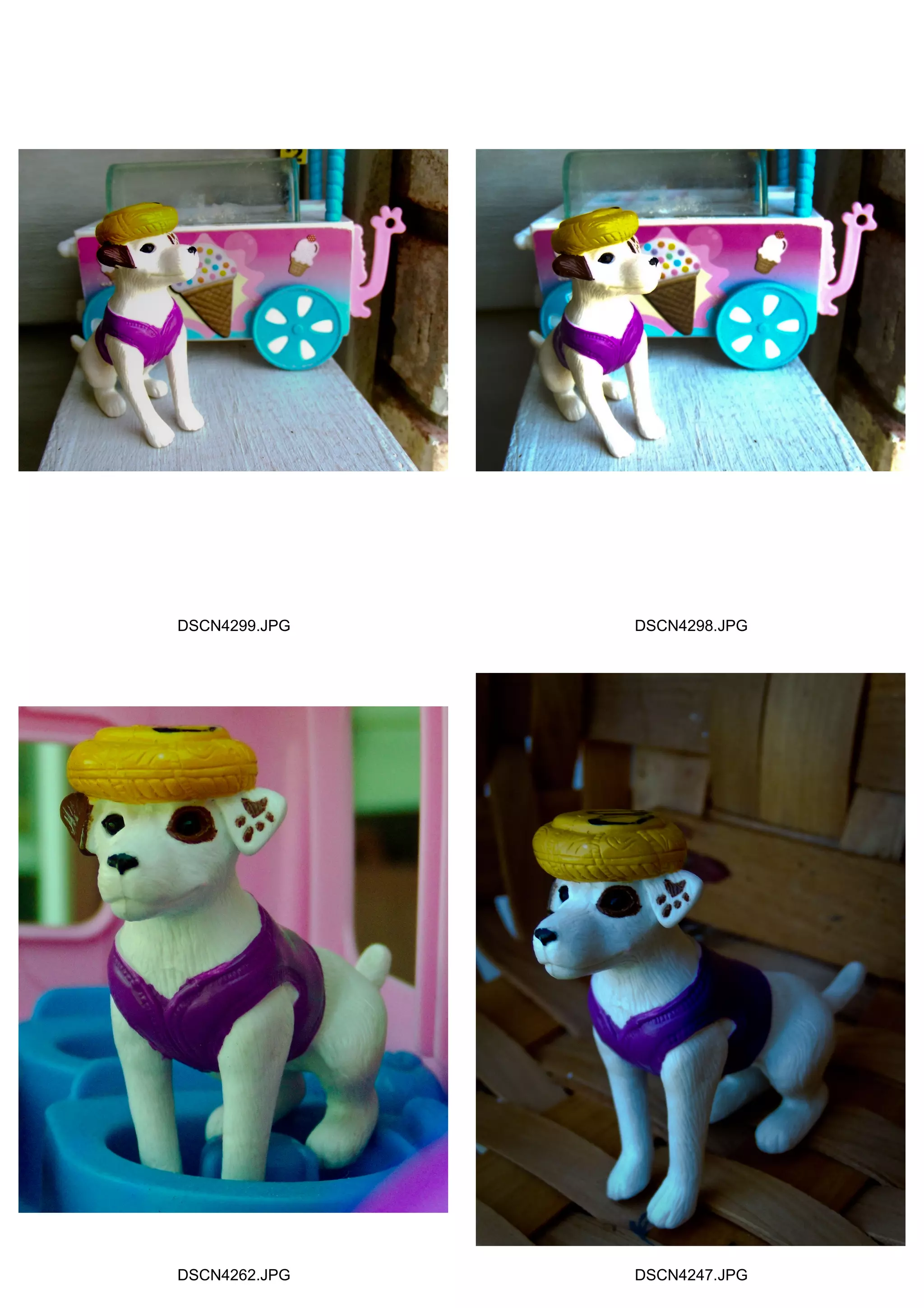 DSCN4299.JPG DSCN4298.JPG
DSCN4262.JPG DSCN4247.JPG