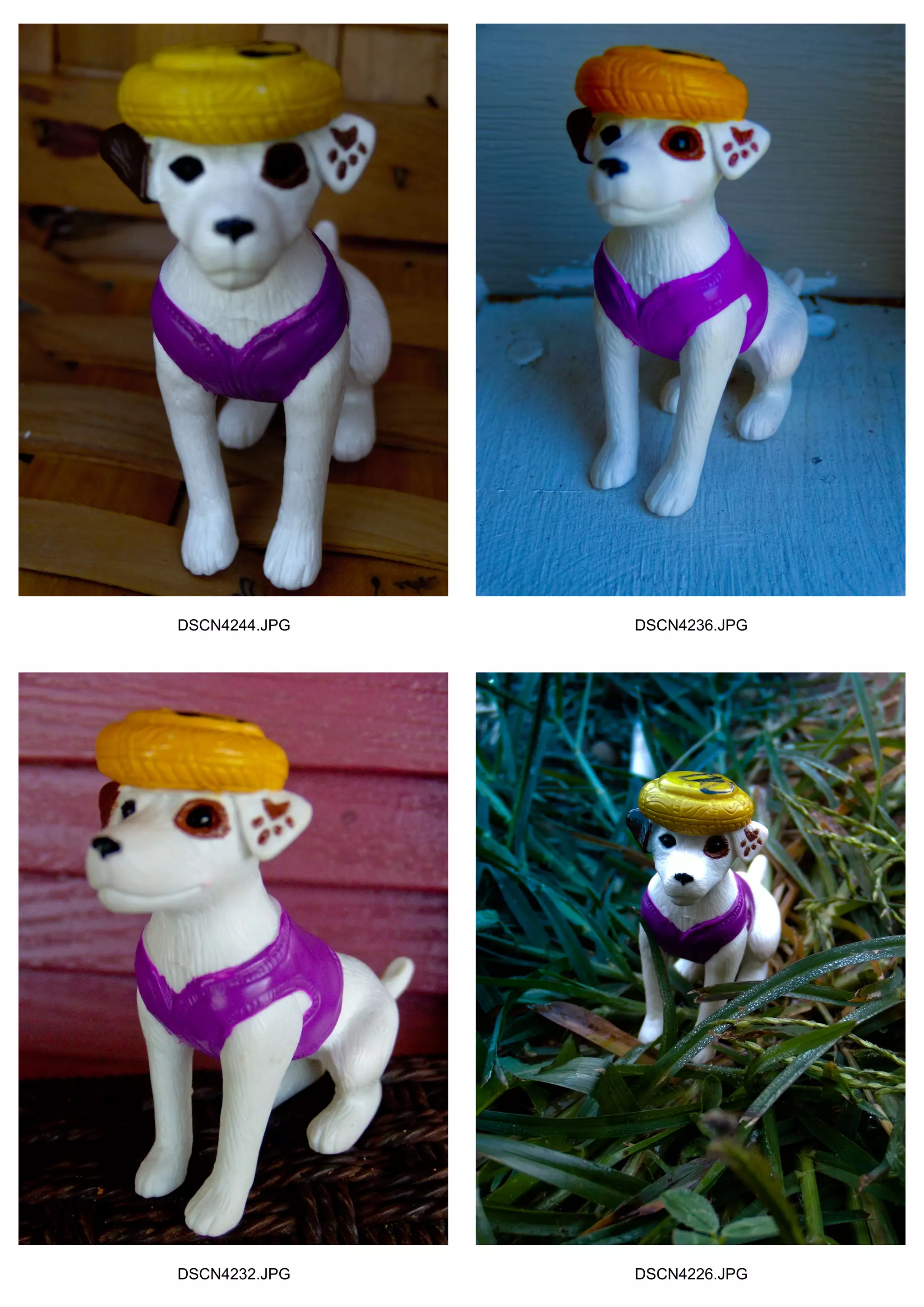 DSCN4244.JPG DSCN4236.JPG
DSCN4232.JPG DSCN4226.JPG